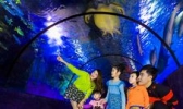 东湖海洋世界