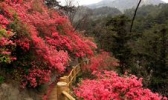 木兰云雾山