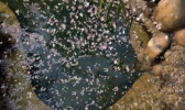 白鹿温泉