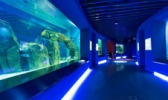 石家庄海洋公园