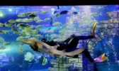 镜湖湿地海洋世界