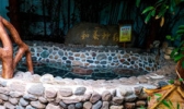 观唐温泉