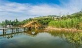 兰陵压油沟景区