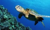 临沂极地海洋世界