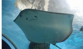 洛阳龙门海洋馆