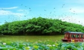 小鸟天堂