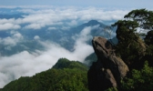 阳岭国家森林公园