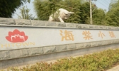 海棠小镇