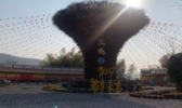 太极五色谷