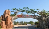杏林大观园风景区