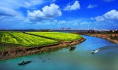 鄱阳湖国家湿地公园