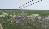 沈阳稻梦空间（3D稻田画）