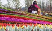 马可波罗花世界