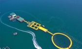 桑沟湾海洋牧场