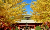 威海石岛赤山