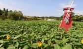 宜春花博园
