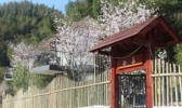 宜春栖隐山庄樱花谷