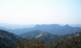 沂源鲁山森林公园