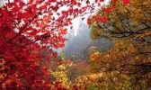 祖山风景区