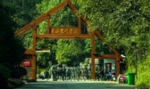 东西岩