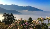 箬寮原始林景区