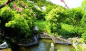桃花峪景区
