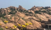 嵊泗赤膊山景区