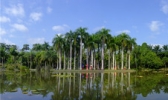 中国科学院西双版纳热带植物园