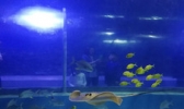绵阳海底世界