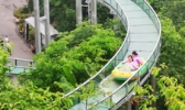 绵阳太乙仙山植物园