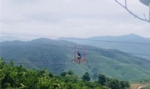 印山国家森林康养基地（印山林场）