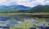 拉市海首途旅行