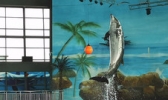大丰港海洋世界