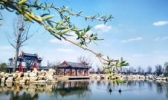 丽正园