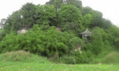 起凤山