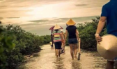 红树林天天赶海