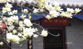 孟府－孟庙