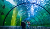 襄阳深梦海底世界