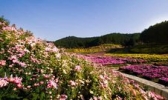 五脑山国家森林公园