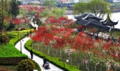 凤城桃园