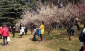宝塔山公园