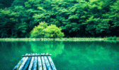 醉山野度假区