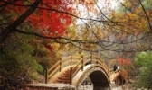 龙溪谷景区