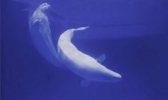 徐州海底世界