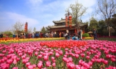 开封天波杨府