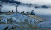 同寿山水