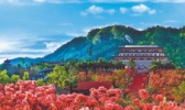 大别山映山红生态文化大观园