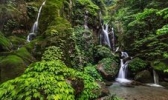 农夫山泉峨眉山工业旅游示范基地