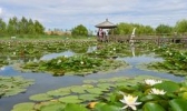 神泉生态旅游景区