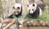 南通森林野生动物园